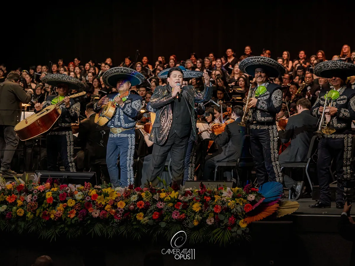 Camerata Opus 11 — imagen 1
