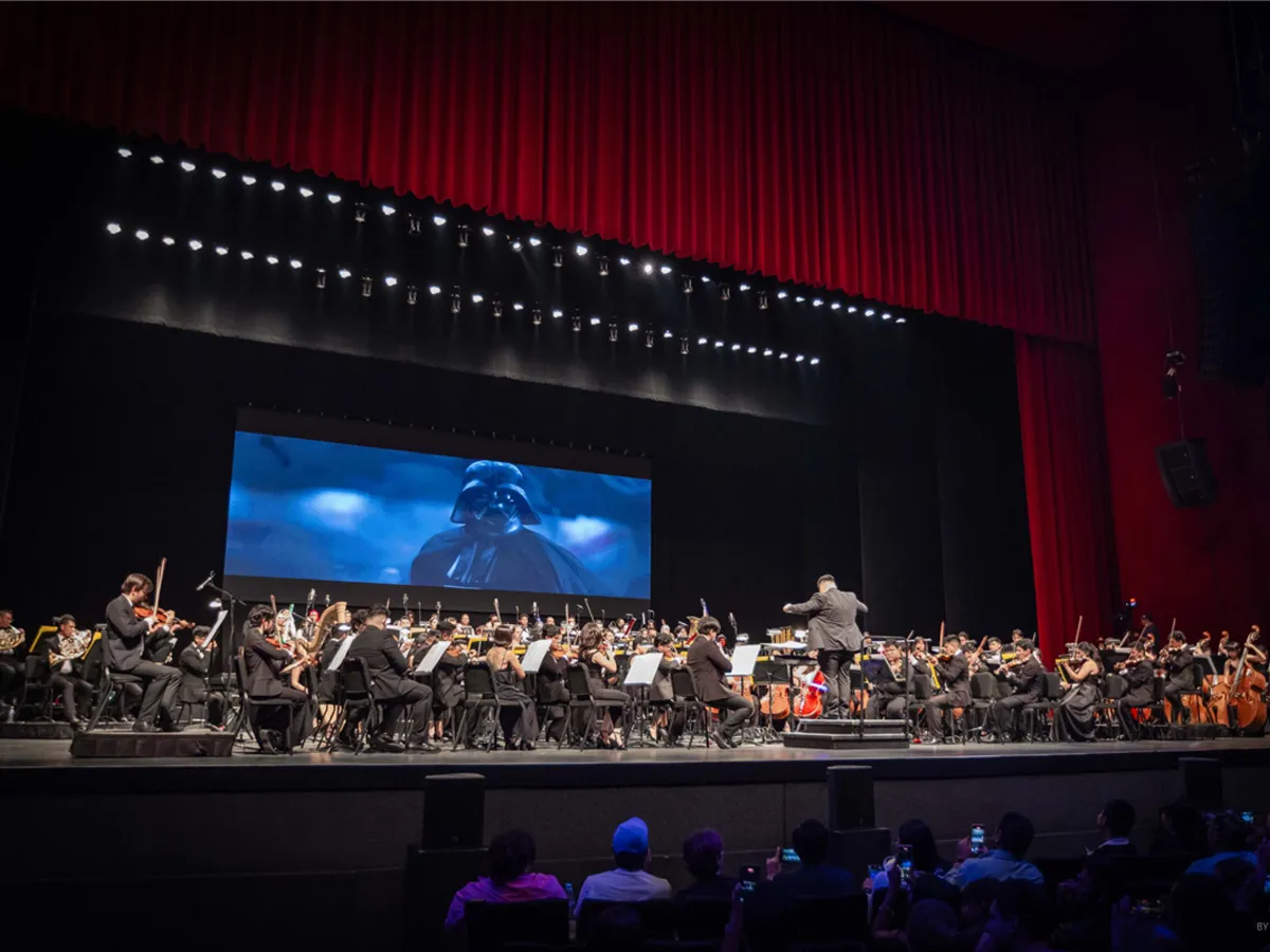 Camerata Opus 11 — imagen 4
