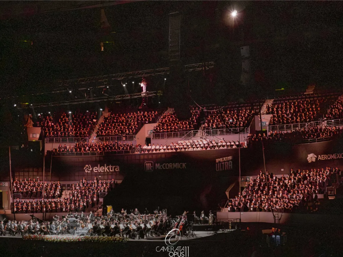Camerata Opus 11 — imagen 5
