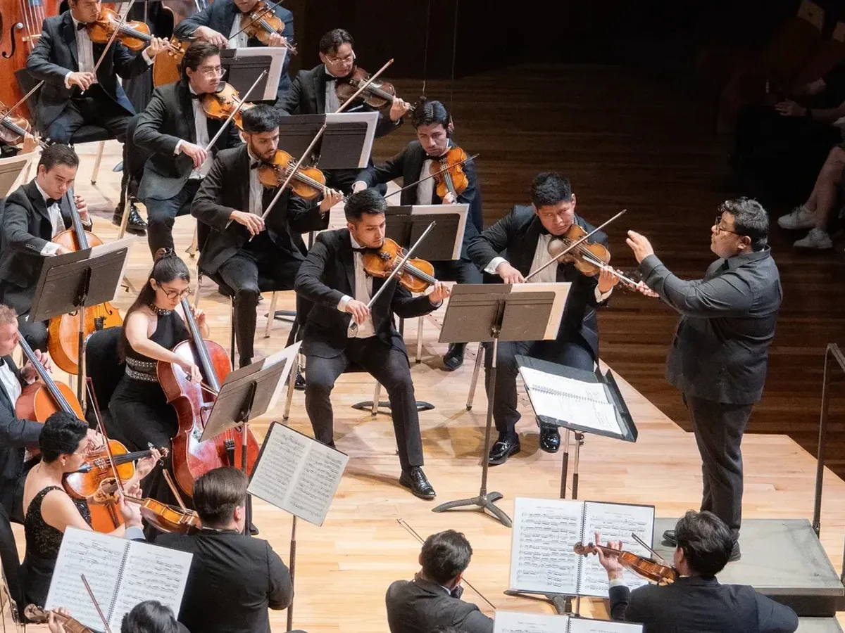 Camerata Opus 11 — imagen 7