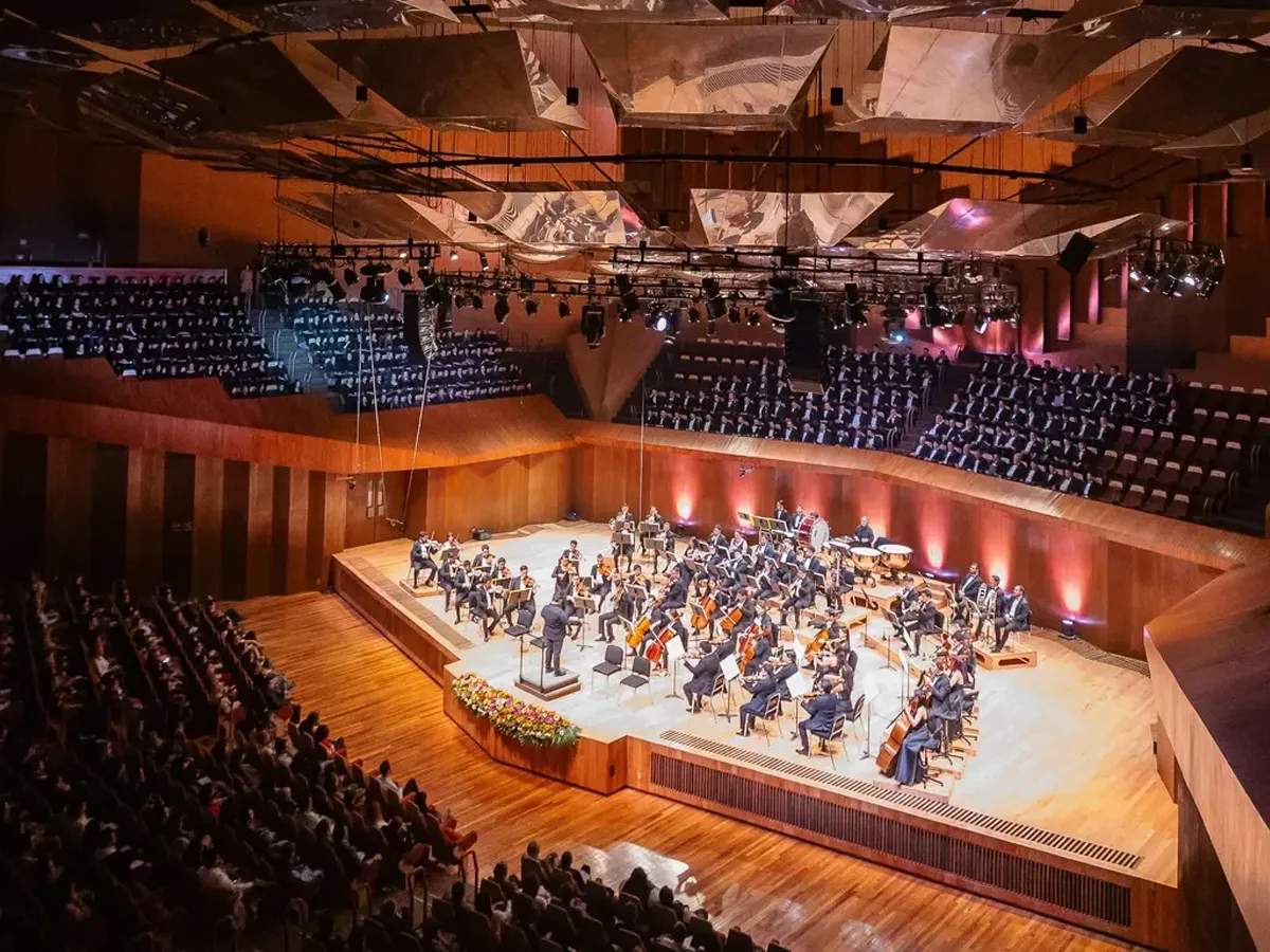 Camerata Opus 11 — imagen 9