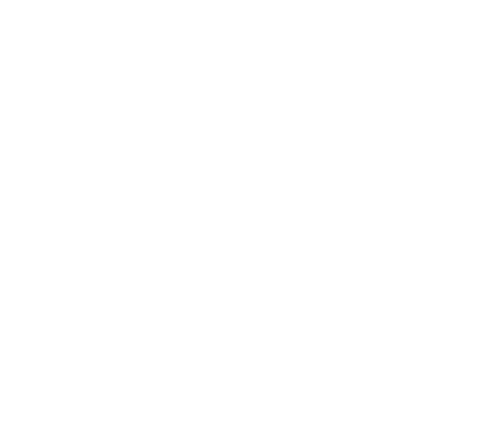 Camerata Opus 11